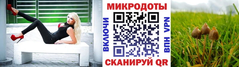 Галлюциногенные грибы мицелий  MEGA как зайти  Калининец  что такое  